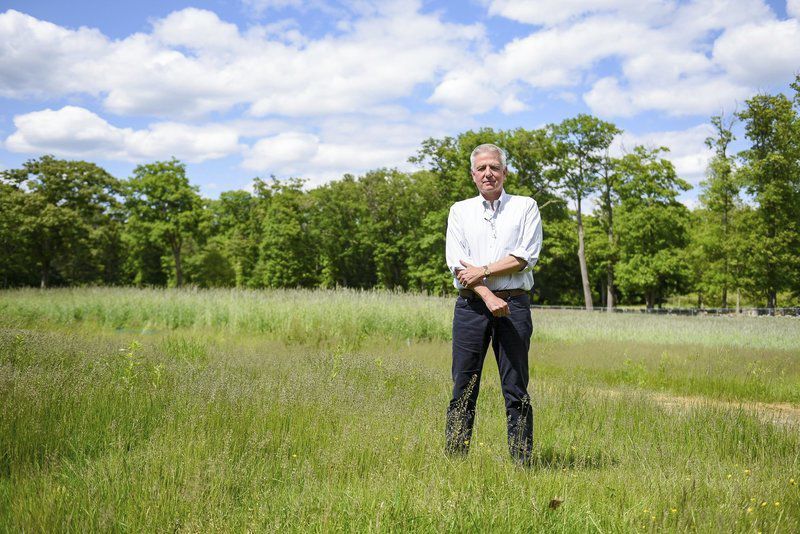 Under fire, Patton 'pauses' pot greenhouse plan